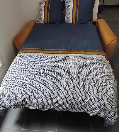 Hyper Centre 公寓 马耶讷